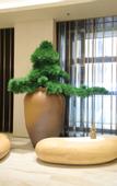 Туры в отель JI Hotel (Chongqing Jiangbei Airport)