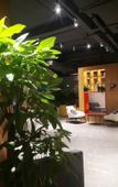 Туры в отель Ausotel Smart (Shiyan Railway Station)