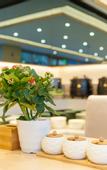 Туры в отель Lavande Hotel (Beijing Changyang Metro Station)