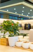 Туры в отель Lavande Hotel (Beijing Changyang Metro Station)