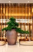 Туры в отель JI Hotel (Pingdu Qingdao Road)