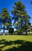 Туры в отель Villa La Bollina