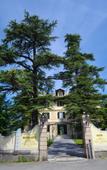 Туры в отель Villa La Bollina