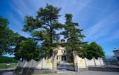 Туры в отель Villa La Bollina