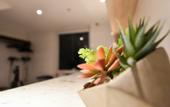 Туры в отель Atour Hotel (Beijing Yizhuang Yidong Guigu)