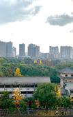 Туры в отель Sofis Jinyuan Hotel