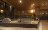 Туры в отель Dormy Inn PREMIUM Fukui Natural Hot Springs