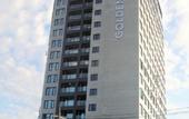 Туры в отель Golden Tulip Ever Yongin