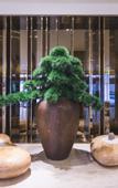 Туры в отель JI Hotel (Longgang)