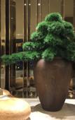 Туры в отель JI Hotel (Longgang)