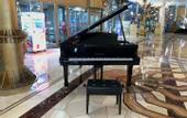 Туры в отель Sainahe Hotel (Beijing Tiantongyuan Lishuiqiao Metro Station)