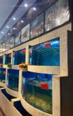 Туры в отель Jiayue  Grand Hotel