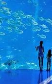 Туры в отель Zhuhaiye Mr. Glamour Hotel (Changlong Tourism Resort Branch)(?????????(??????????))