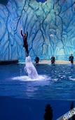 Туры в отель Zhuhaiye Mr. Glamour Hotel (Changlong Tourism Resort Branch)(?????????(??????????))
