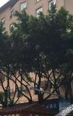 Туры в отель Zhuhaiye Mr. Glamour Hotel (Changlong Tourism Resort Branch)(?????????(??????????))