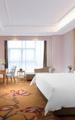 Туры в отель Vienna International Hotel (Technology University Store, Pingshan , Shenzhen)