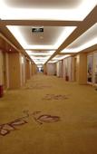 Туры в отель Vienna International Hotel (Technology University Store, Pingshan , Shenzhen)