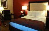 Туры в отель The Lloyd Stamford, Tapestry Collection by Hilton