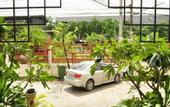 Туры в отель Htel Resort Bangkok