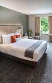 Туры в отель The Delaney Hotel