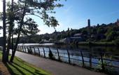 Туры в отель Kingsley