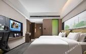 Туры в отель Hampton by Hilton Emeishan Scenic Area