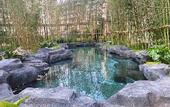 Туры в отель Hampton by Hilton Emeishan Scenic Area
