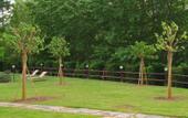 Туры в отель LHP Certaldo Resort