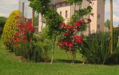 Туры в отель LHP Certaldo Resort