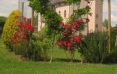 Туры в отель LHP Certaldo Resort