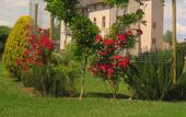 Туры в отель LHP Certaldo Resort