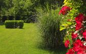 Туры в отель LHP Certaldo Resort
