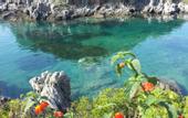 Туры в отель La Locanda delle Donne Monache