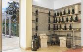 Туры в отель Resort & Winery Bosco De Medici