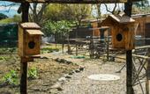 Туры в отель Resort & Winery Bosco De Medici