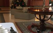 Туры в отель Hotel Villa Peretti