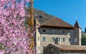 Туры в отель Castel Hortenberg