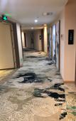 Туры в отель ELONG R.YUN Hotel (Xuancheng Jingting Mountain)