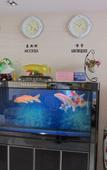 Туры в отель Homeinn Fairyland Shangpin Hotel (Heihe Central Pedestrian Street)
