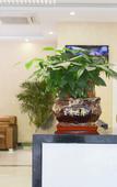Туры в отель Elong ME Hotel (Shanghai Wildlife Park)