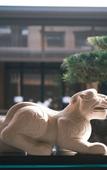 Туры в отель XIANGHU XIAOYAO MANOR