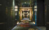 Туры в отель Golden Phoenix Hotel