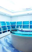 Туры в отель Golden Phoenix Hotel