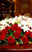 Туры в отель Golden Phoenix Hotel