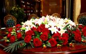 Туры в отель Golden Phoenix Hotel