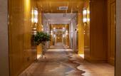 Туры в отель Golden Phoenix Hotel