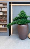 Туры в отель JI Hotel (YanchengFuning Shanghai Road)