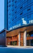 Туры в отель Mr. Whale Hotel