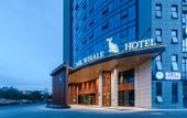 Туры в отель Mr. Whale Hotel