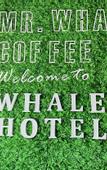 Туры в отель Mr. Whale Hotel